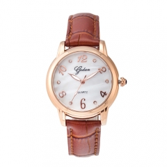 Rose Gold Casual Quartz swiss movement waterproof  Watch for lady